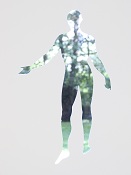 Demo image